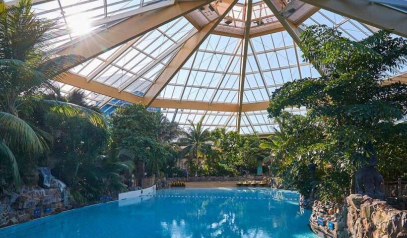 Subtropical Swimming Paradise