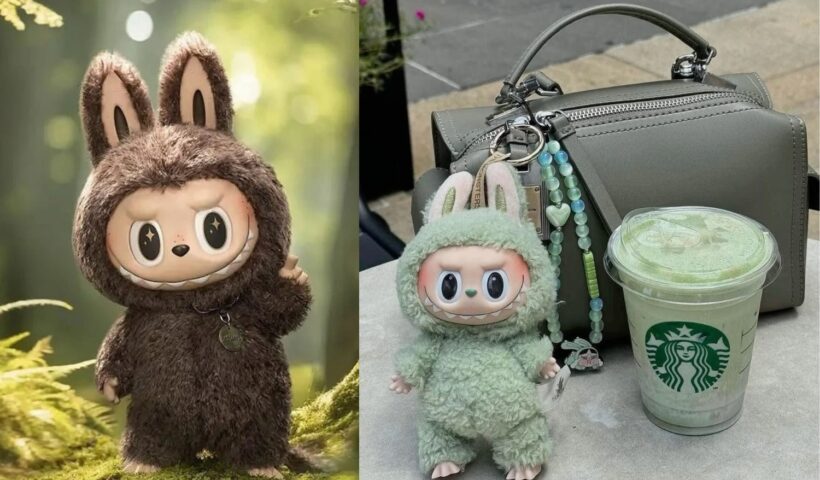 The Labubu—Not Just a Toy