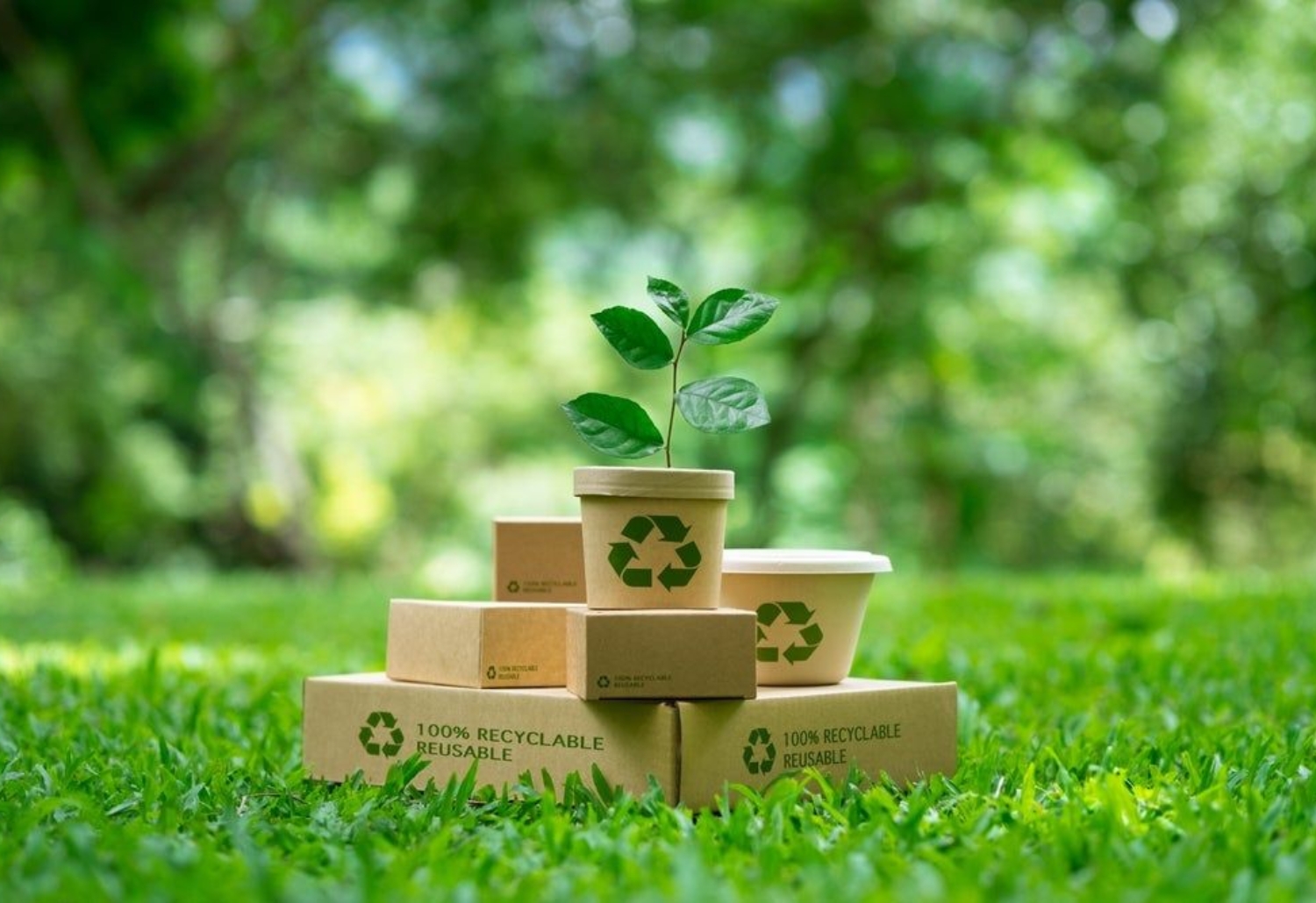 Green packaging strategies